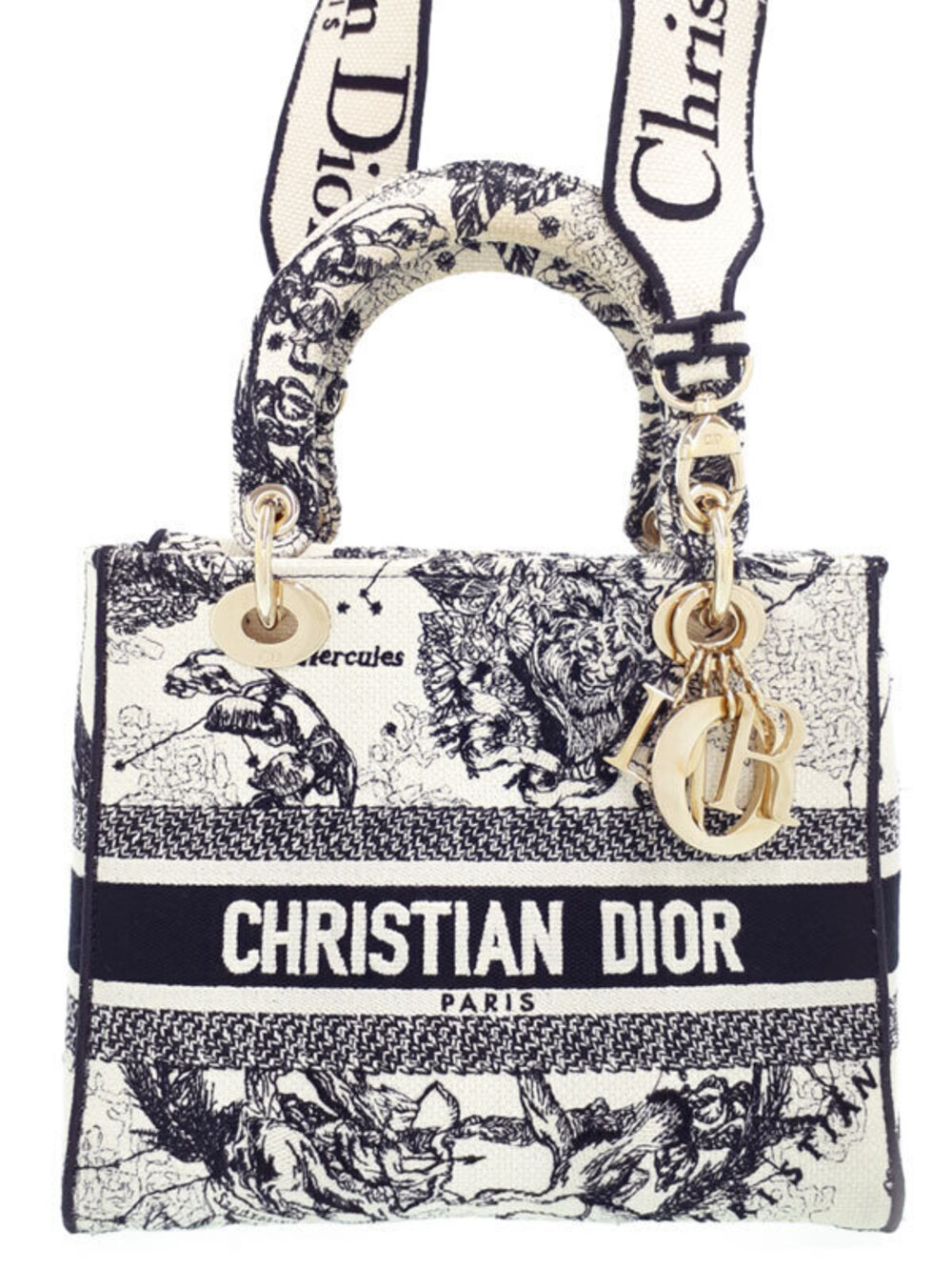 Christian Dior Lady Day Bag